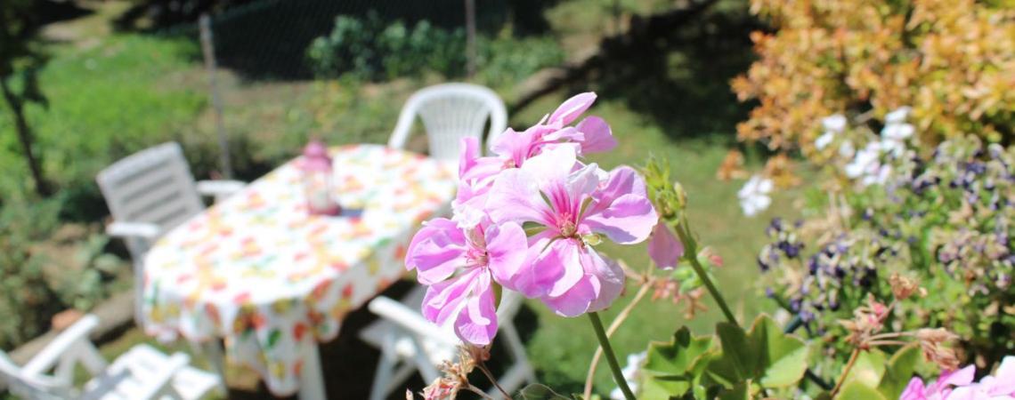 B&B Via Roma Cesate Ngoại thất bức ảnh